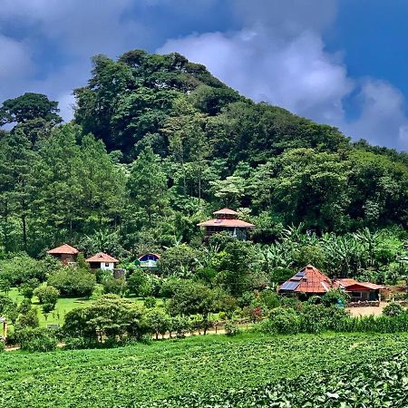 Finca Neblina Del Bosque Estelí Eksteriør billede