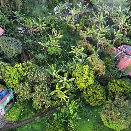 Finca Neblina Del Bosque Estelí Eksteriør billede