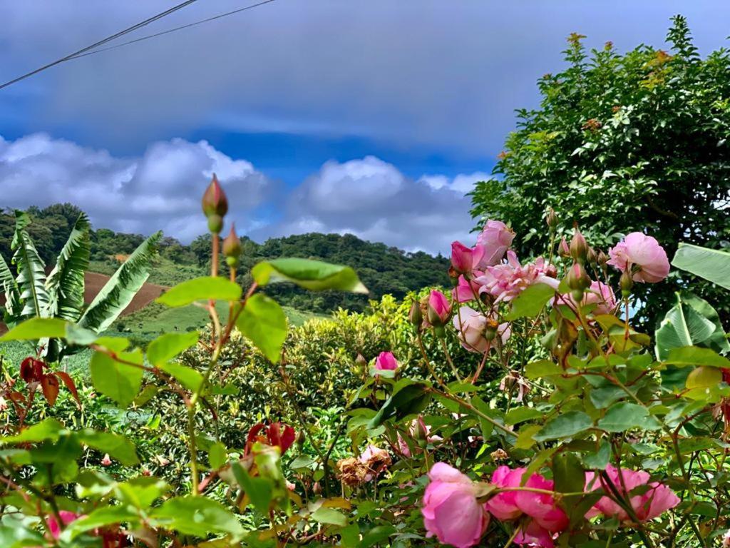 Finca Neblina Del Bosque Estelí Eksteriør billede