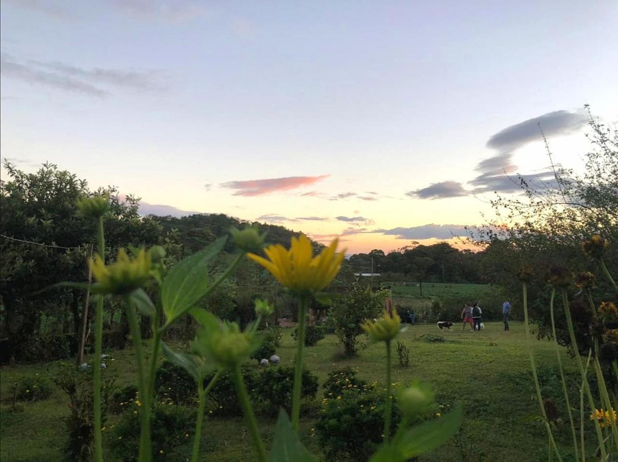 Finca Neblina Del Bosque Estelí Eksteriør billede