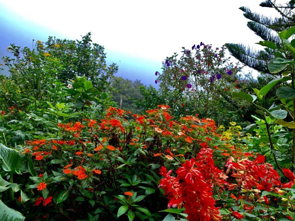 Finca Neblina Del Bosque Estelí Eksteriør billede