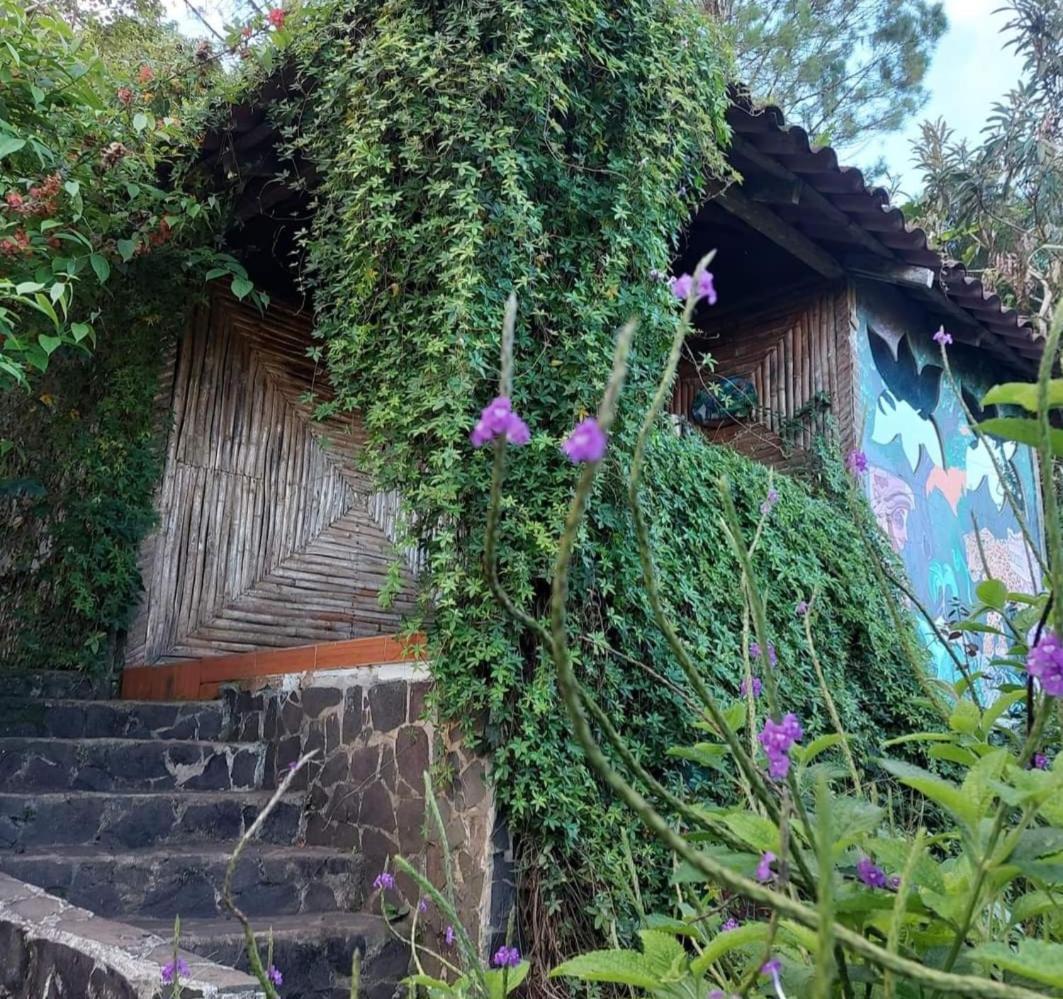 Finca Neblina Del Bosque Estelí Eksteriør billede